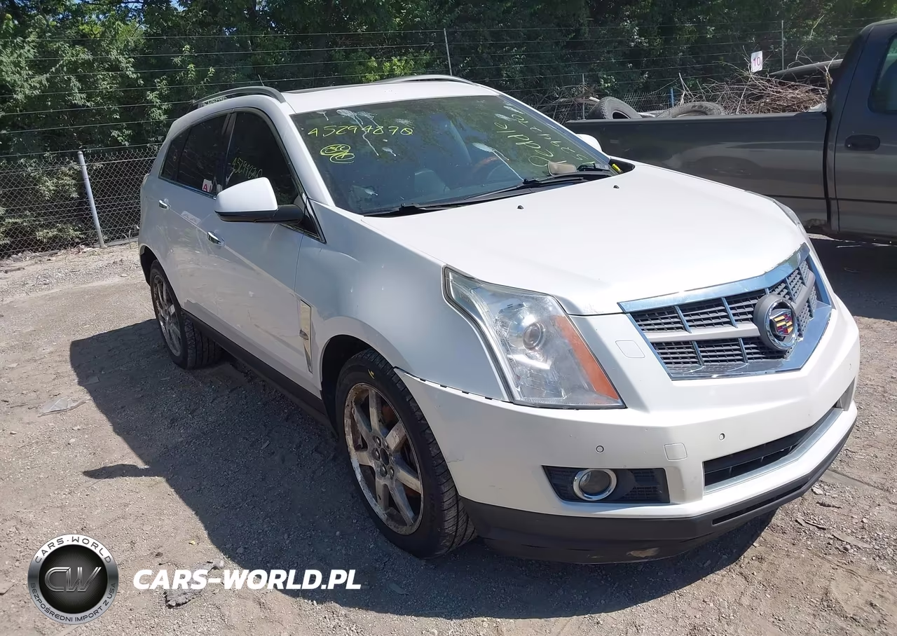 2010 Cadillac Srx Premium Collection VIN:3GYFNFEY8AS554811 - 6