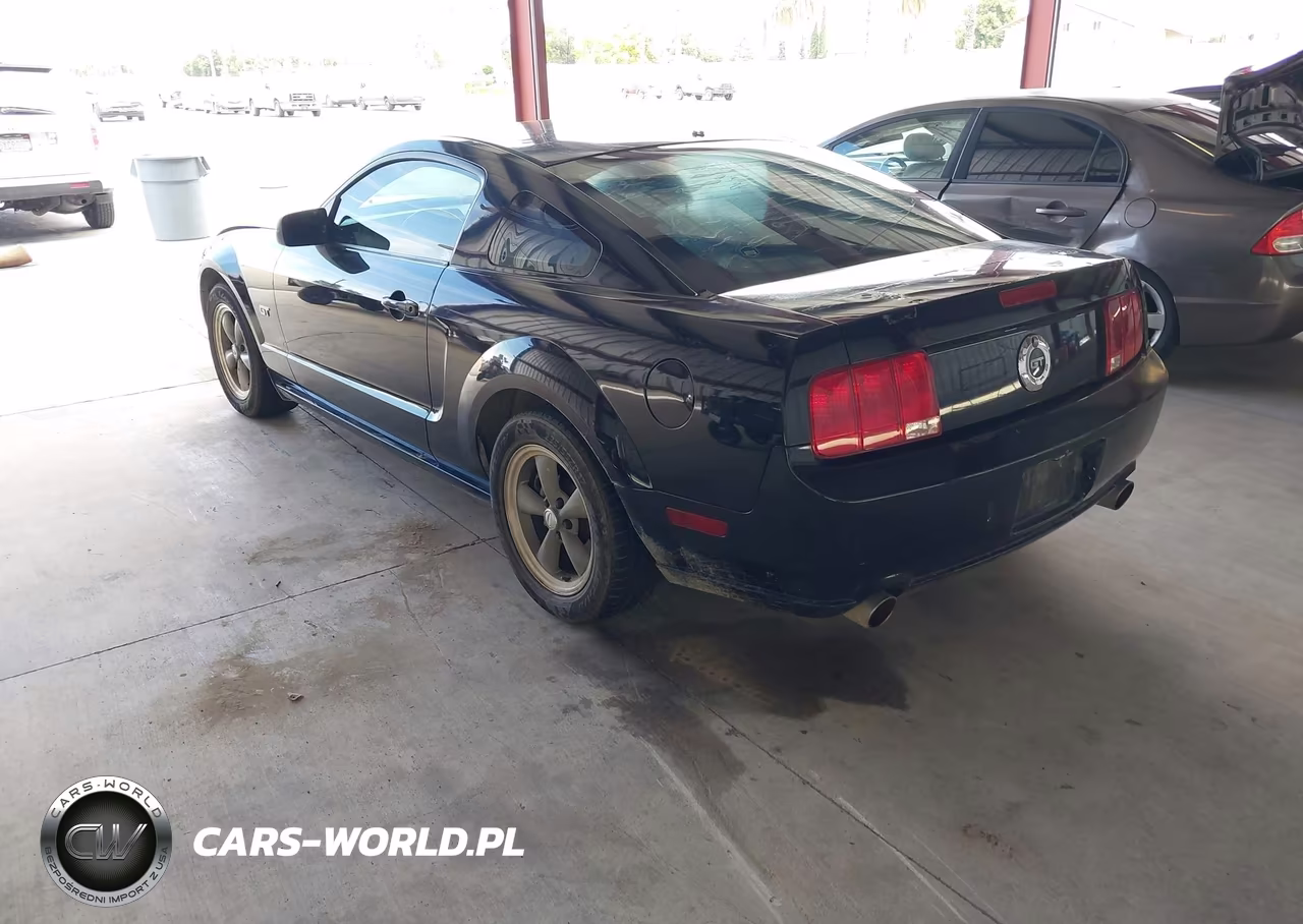 2005 Ford Mustang Gt Deluxe-Gt Premium VIN:1ZVHT82H155256103 - 3