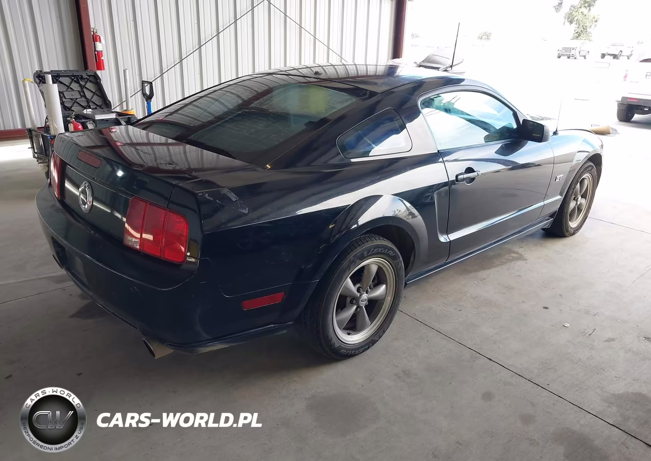 2005 Ford Mustang Gt Deluxe-Gt Premium VIN:1ZVHT82H155256103 - 4