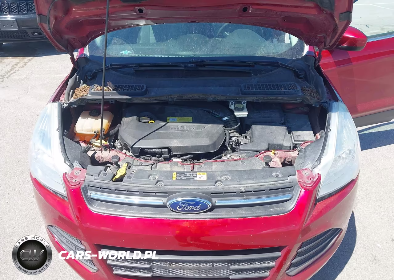 2014 Ford Escape Se VIN:1FMCU0GX5EUC99694 - 10