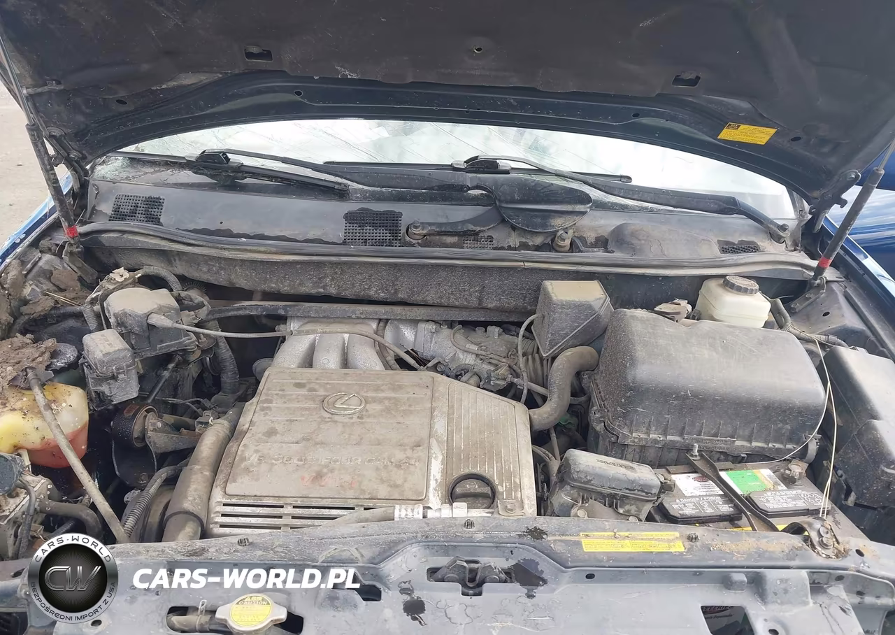 2003 Lexus Rx 300 VIN:JTJHF10U330305651 - 10