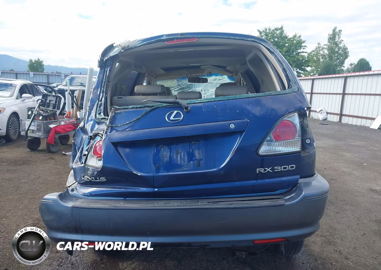 2003 Lexus Rx 300 VIN:JTJHF10U330305651 - 17