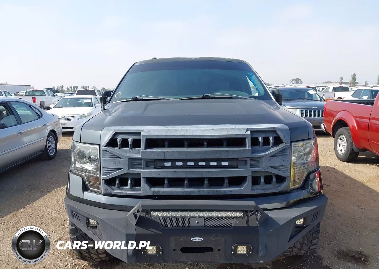 2011 Ford F-150 Fx2 VIN:1FTFW1CT2BKD40696 - 12
