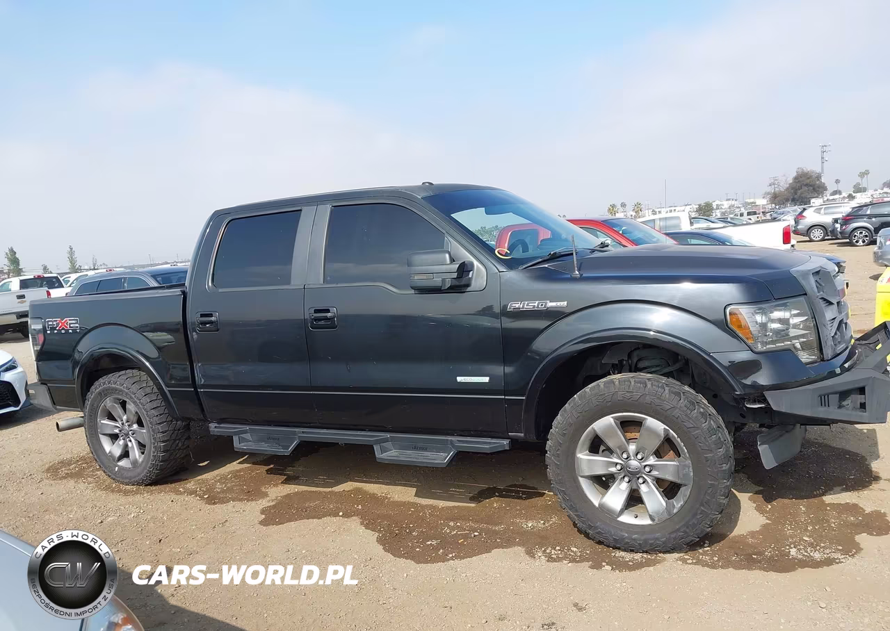 2011 Ford F-150 Fx2 VIN:1FTFW1CT2BKD40696 - 13
