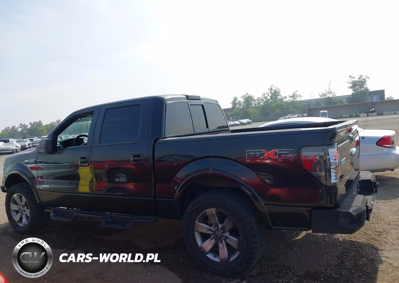 2011 Ford F-150 Fx2 VIN:1FTFW1CT2BKD40696 - 14