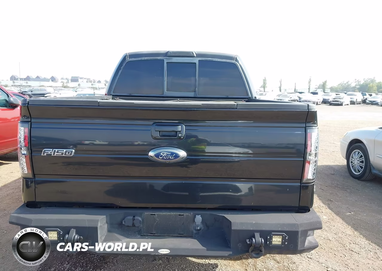 2011 Ford F-150 Fx2 VIN:1FTFW1CT2BKD40696 - 16