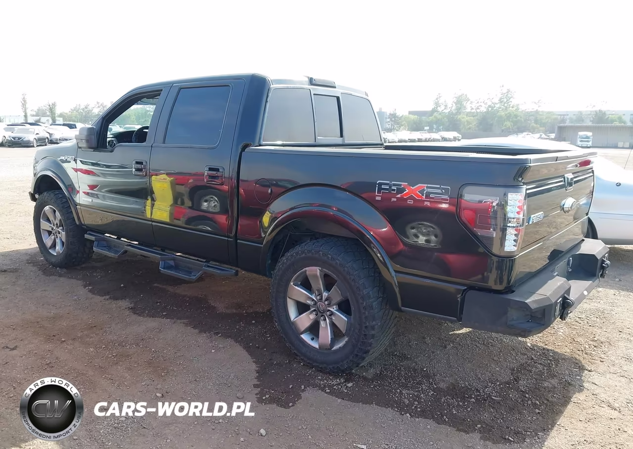 2011 Ford F-150 Fx2 VIN:1FTFW1CT2BKD40696 - 3