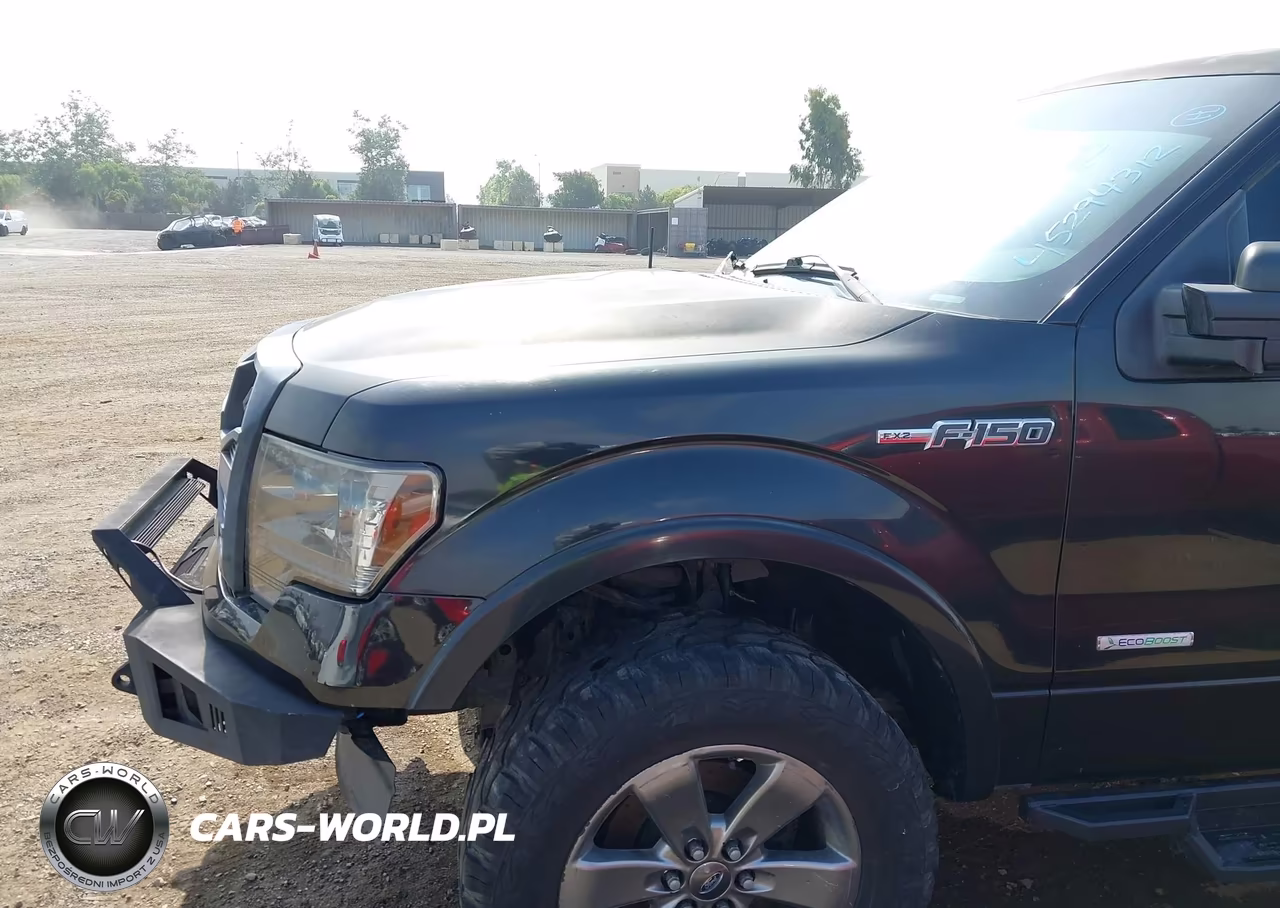 2011 Ford F-150 Fx2 VIN:1FTFW1CT2BKD40696 - 6