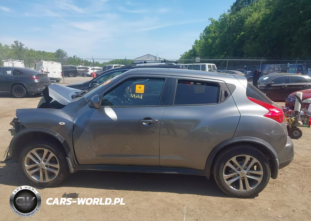 2013 Nissan Juke Nismo-S-Sl-Sv VIN:JN8AF5MV0DT215523 - 15