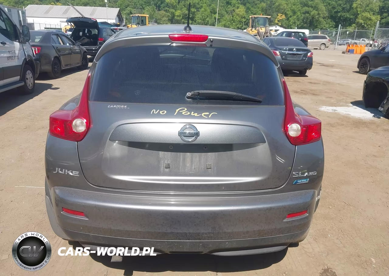 2013 Nissan Juke Nismo-S-Sl-Sv VIN:JN8AF5MV0DT215523 - 17