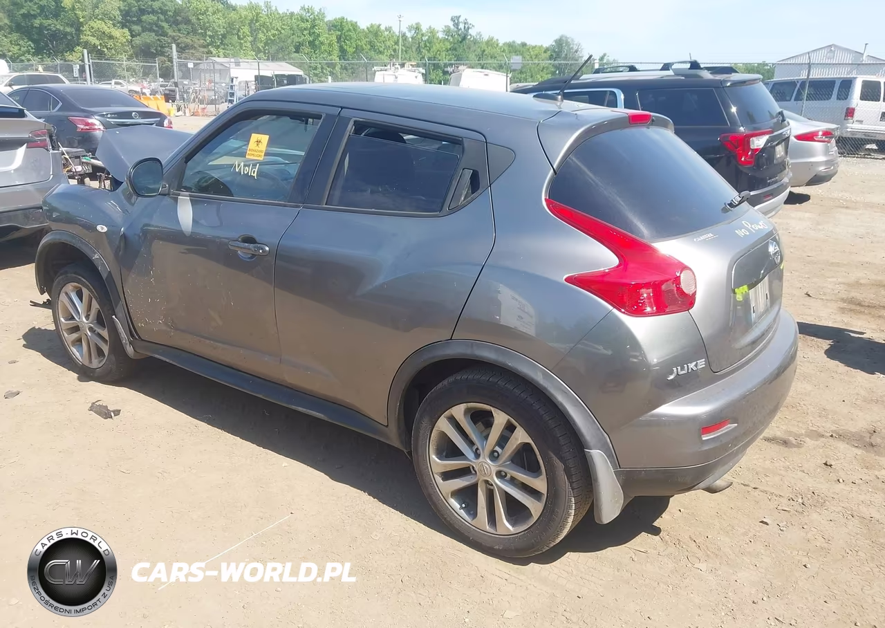 2013 Nissan Juke Nismo-S-Sl-Sv VIN:JN8AF5MV0DT215523 - 3