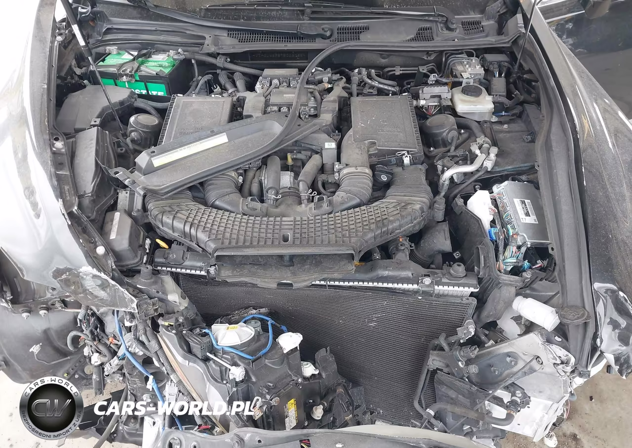 2007 Lexus Ls 460 L VIN:JTHGL46F575008065 - 10