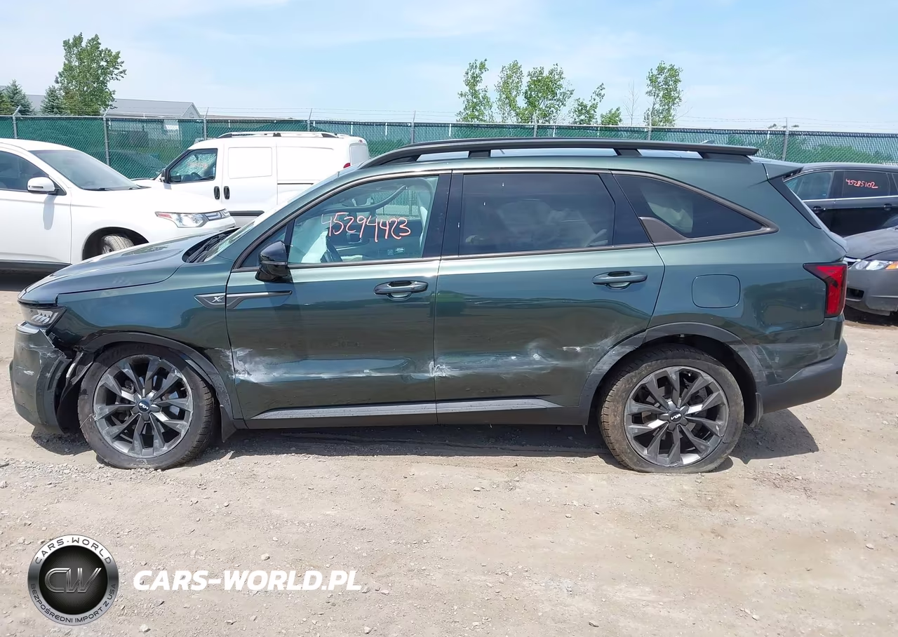 2022 Kia Sorento X-Line Ex VIN:5XYRHDLF3NG133179 - 13