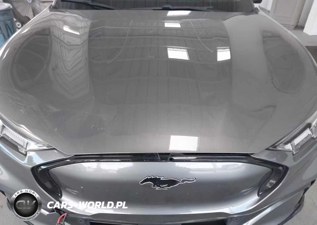 2023 Ford Mustang Mach-E Premium VIN:3FMTK3S57PMA88355 - 10