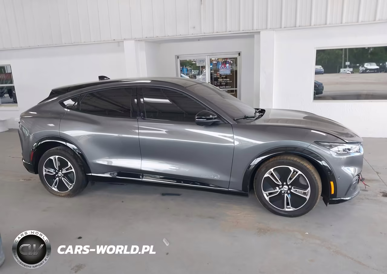 2023 Ford Mustang Mach-E Premium VIN:3FMTK3S57PMA88355 - 13