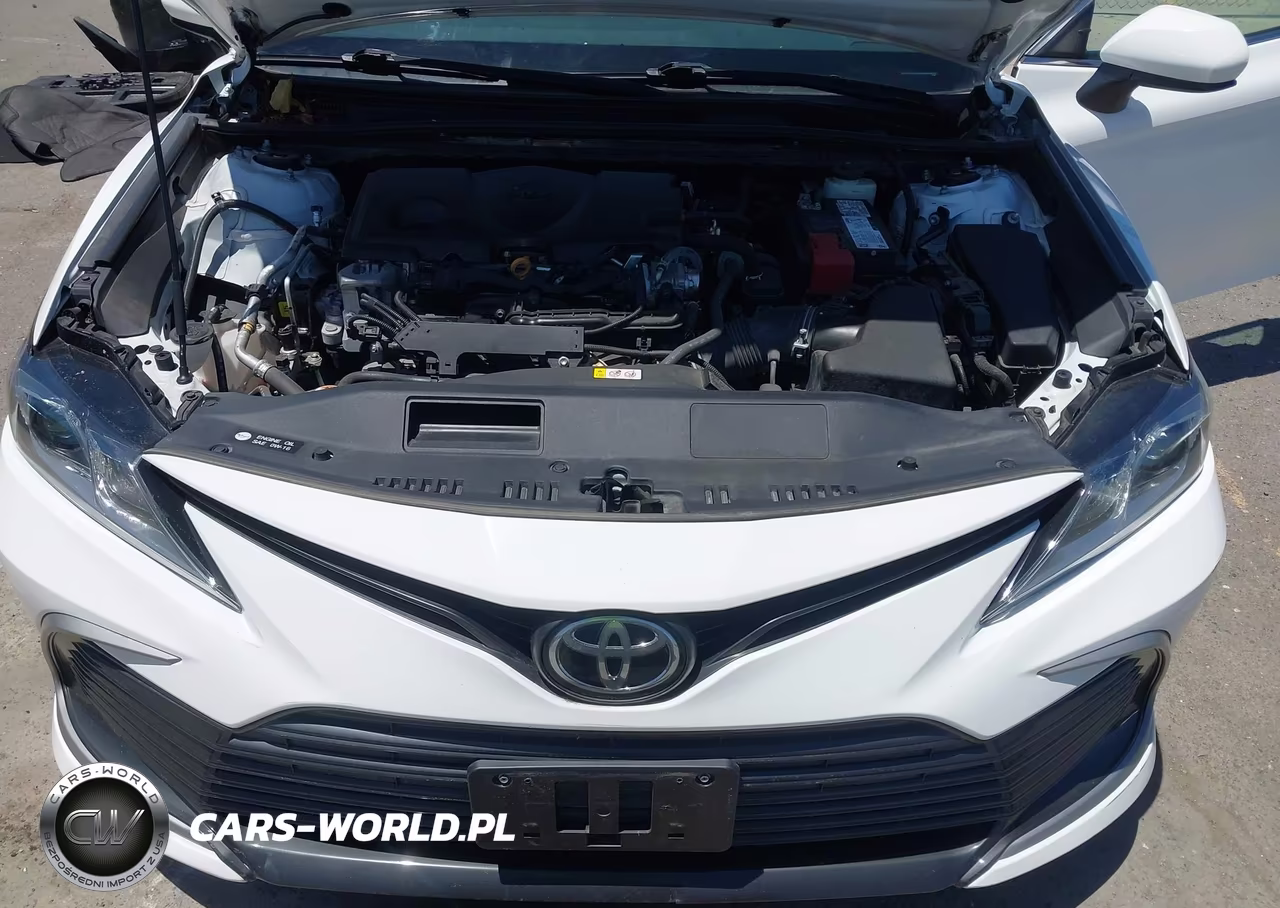 2021 Toyota Camry Le VIN:4T1C11AK9MU594288 - 10