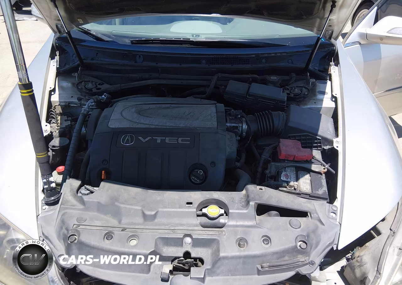 2006 Acura Rl 3.5 VIN:JH4KB16586C007554 - 10