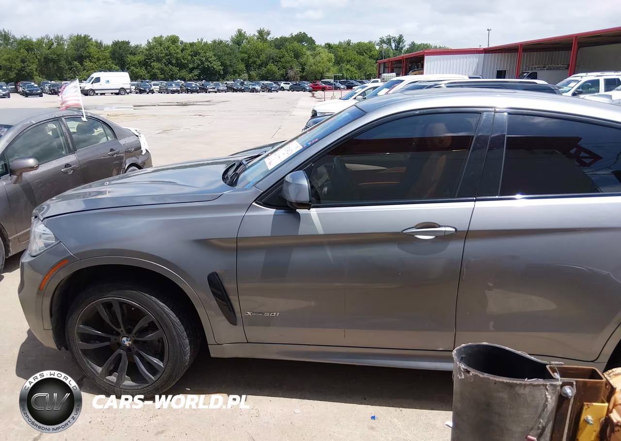 2017 BMW X6 xDrive50I VIN:5UXKU6C30H0W38507 - 14