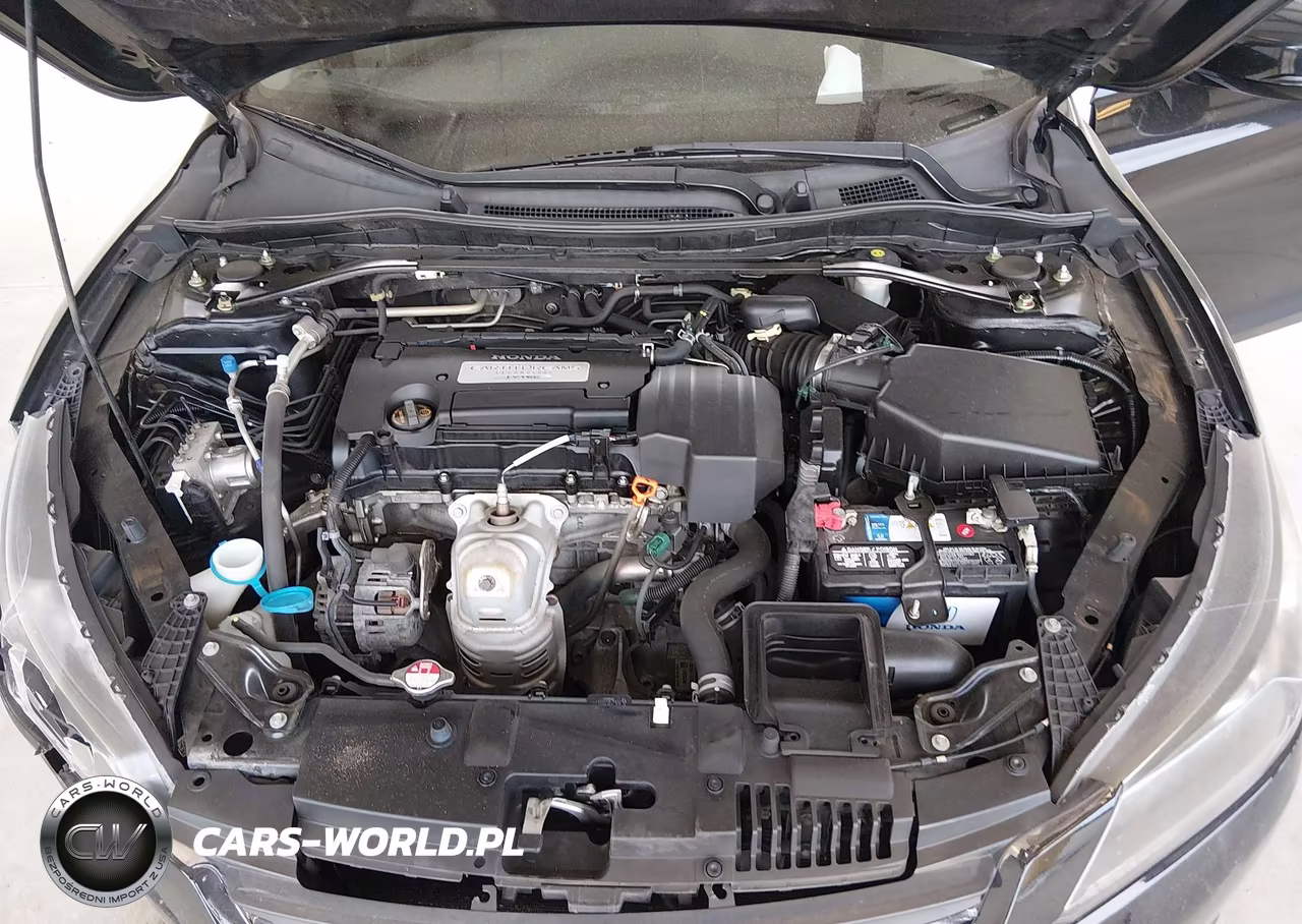 2013 Honda Accord Ex-L VIN:1HGCR2F89DA145390 - 10