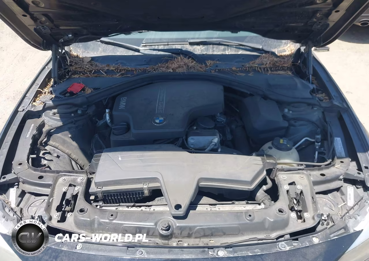 2015 BMW 320I VIN:WBA3B1C54FP681247 - 10