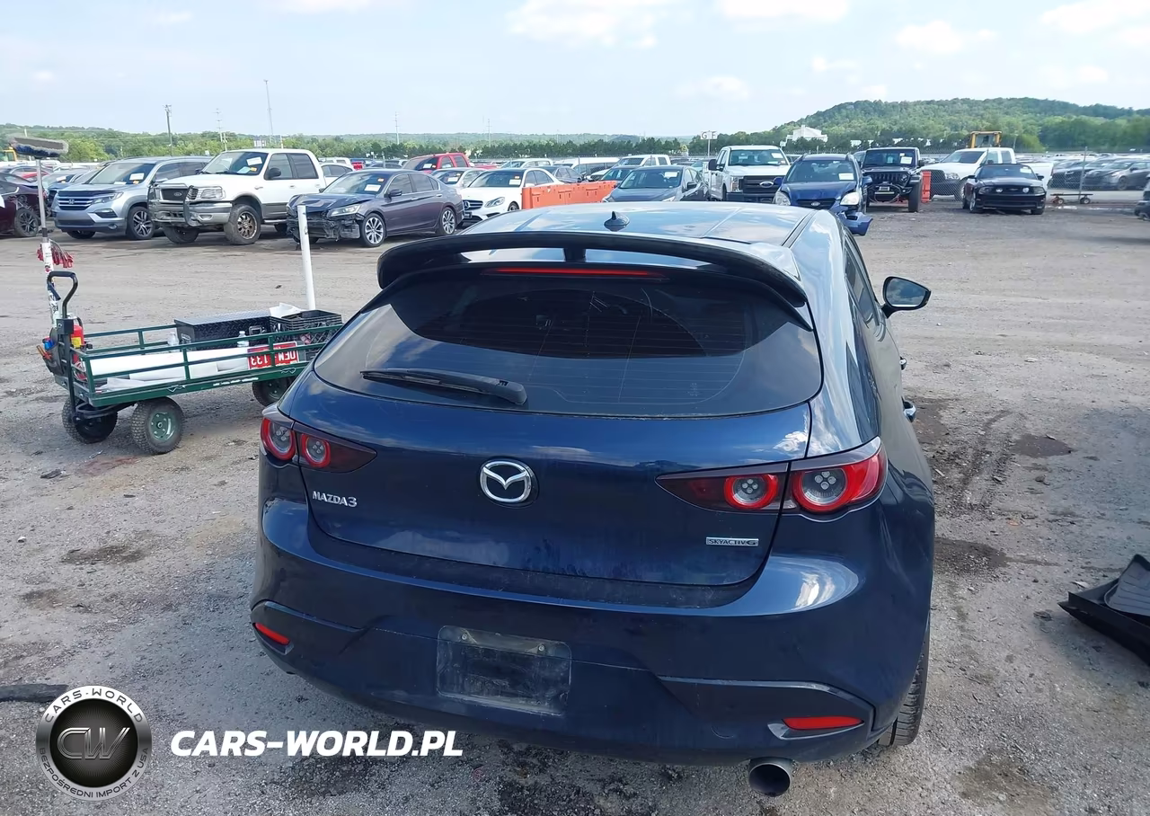 2019 Mazda Mazda3 Preferred Package VIN:JM1BPAMM1K1143608 - 16