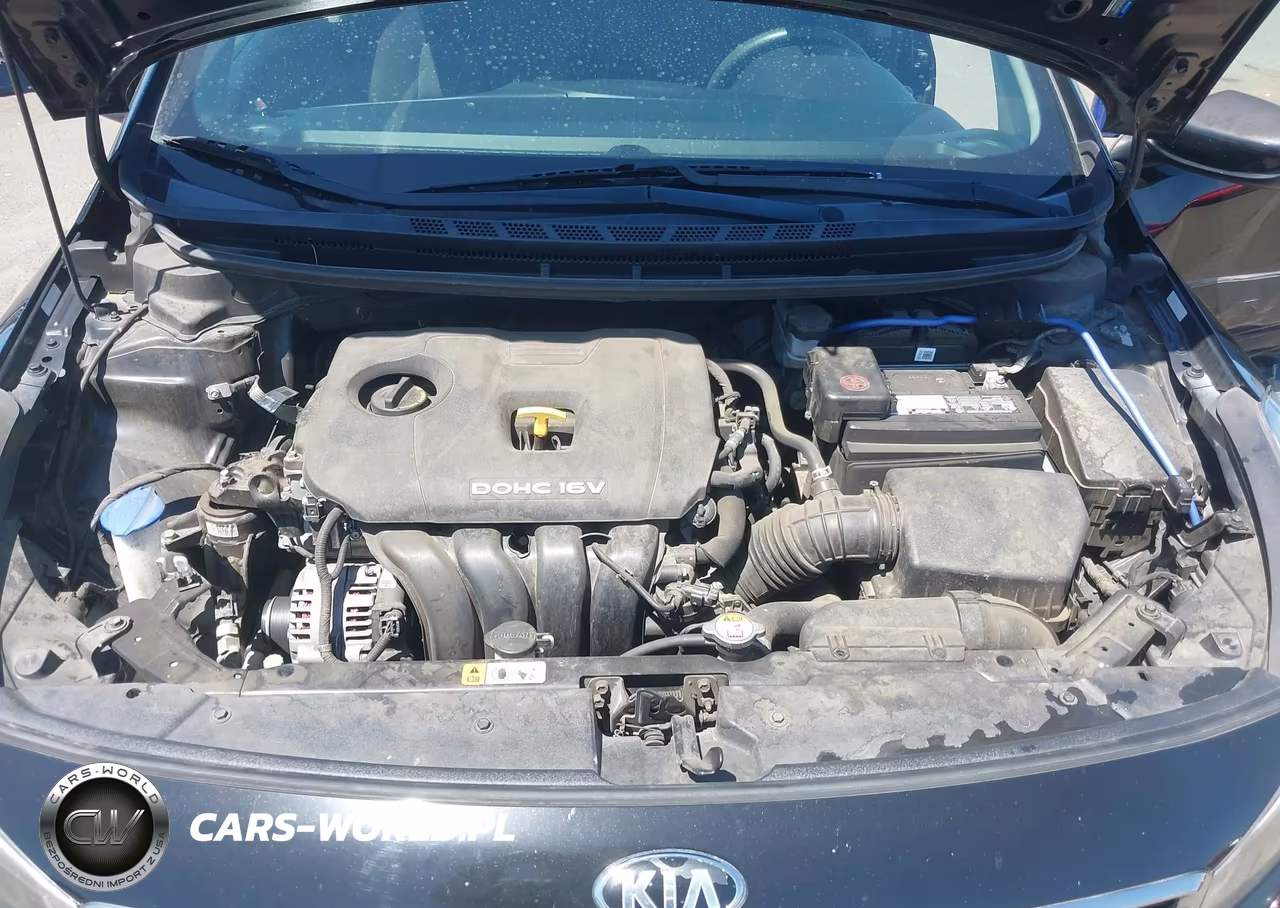 2017 Kia Forte Lx VIN:3KPFK4A79HE120941 - 10