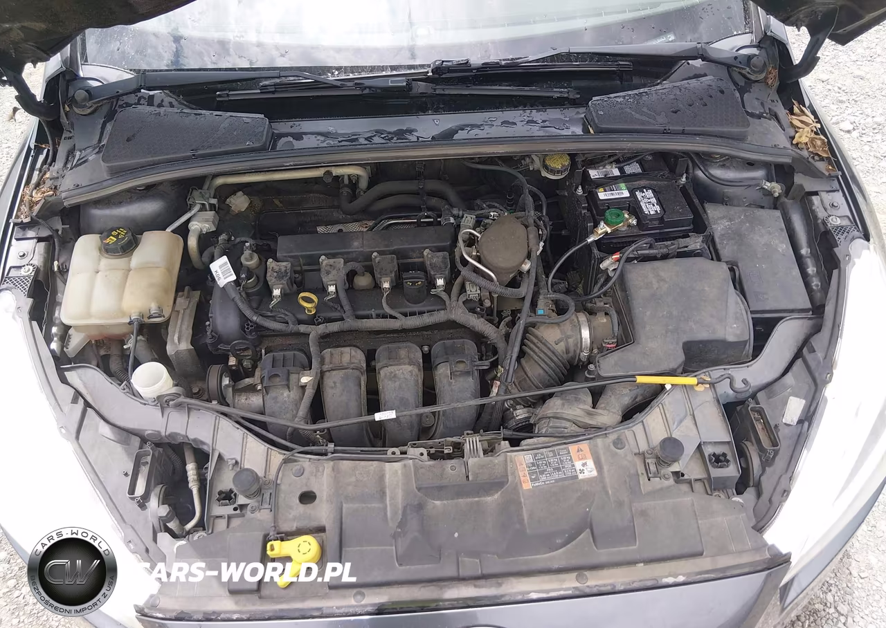 2015 Ford Focus Se VIN:1FADP3F2XFL304439 - 10