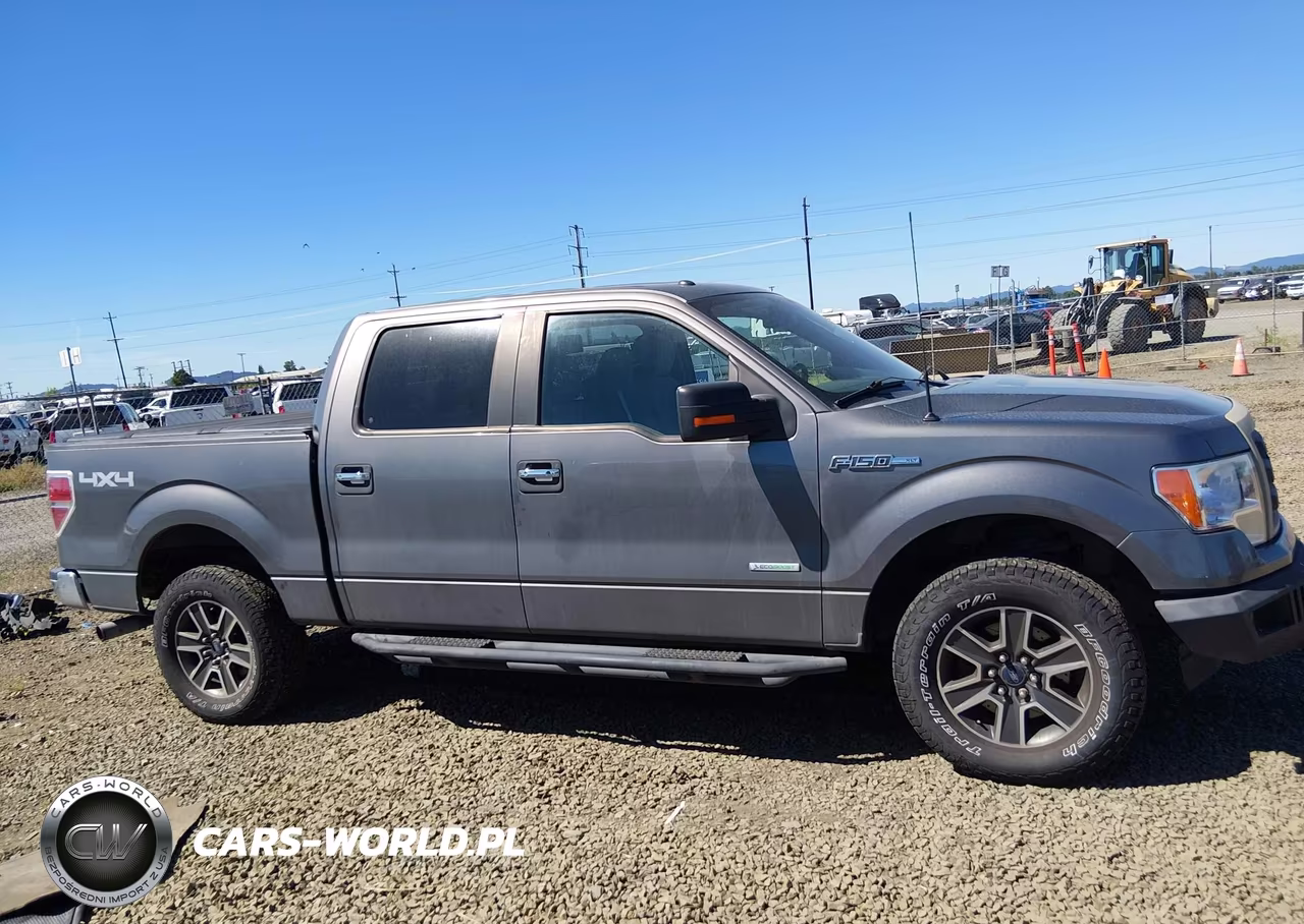 2014 Ford F-150 Xlt VIN:1FTFW1ET6EFB32010 - 13