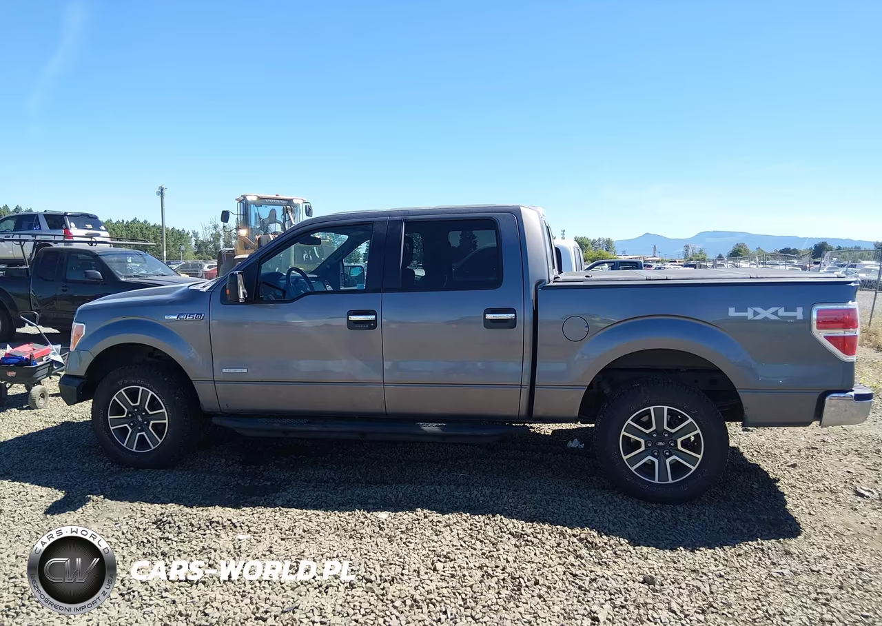 2014 Ford F-150 Xlt VIN:1FTFW1ET6EFB32010 - 14