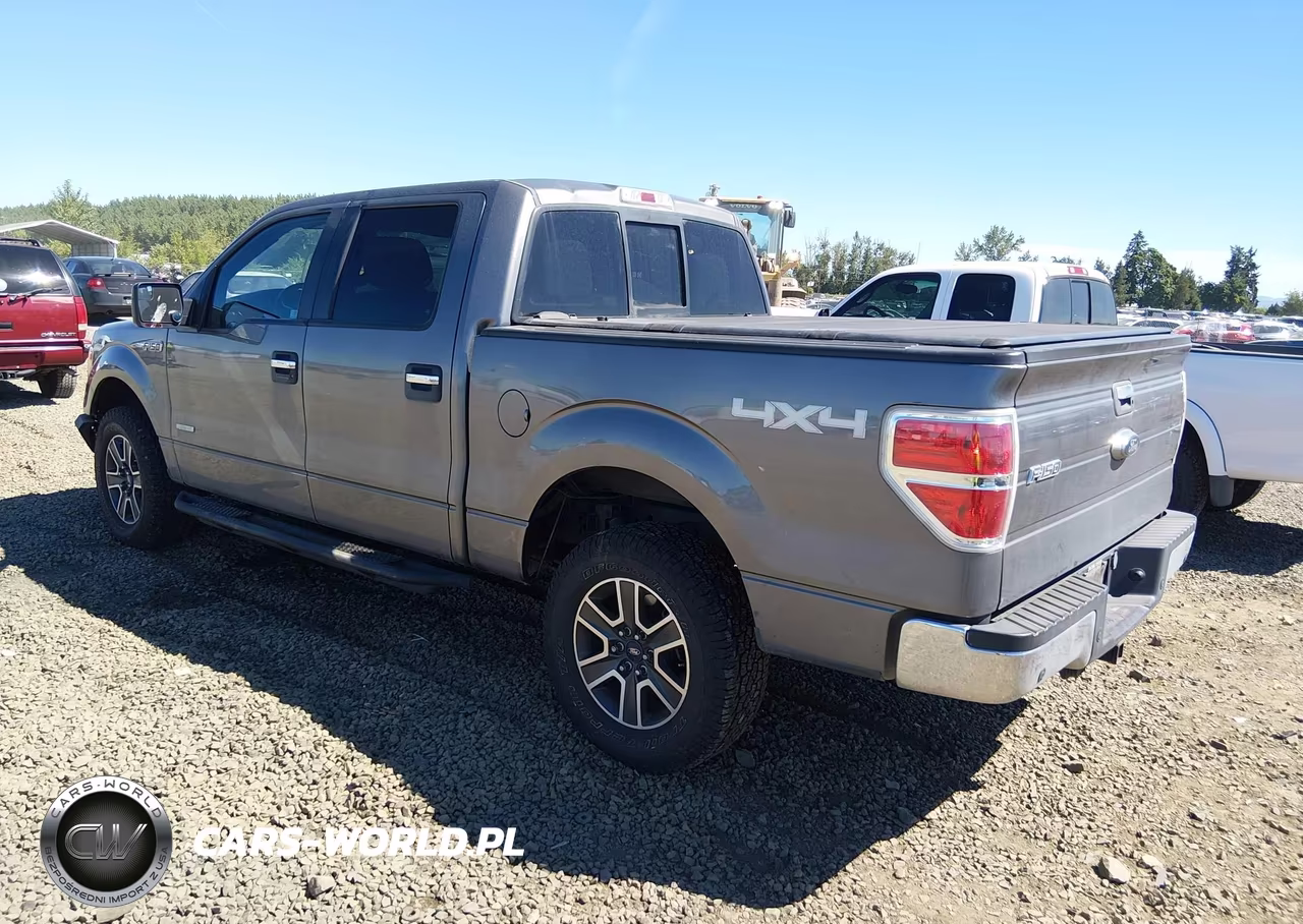 2014 Ford F-150 Xlt VIN:1FTFW1ET6EFB32010 - 3