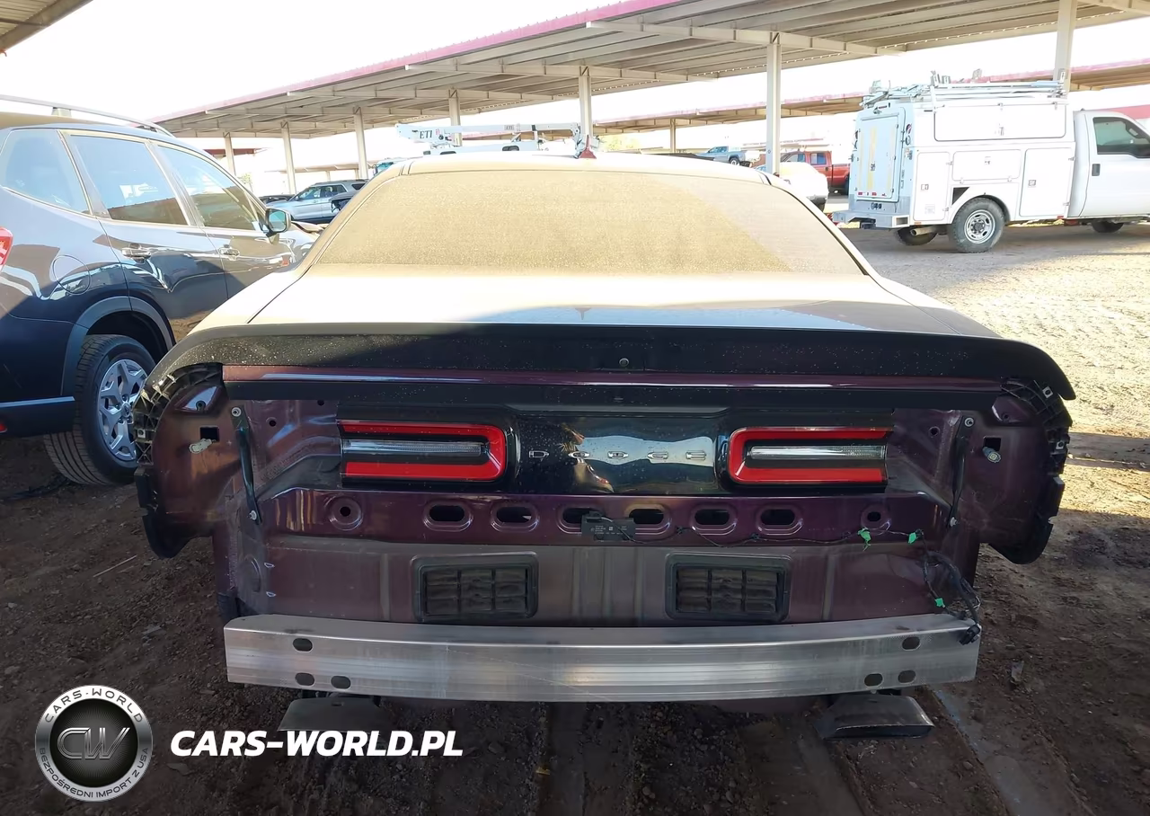 2022 Dodge Challenger Srt Hellcat Redeye VIN:2C3CDZL94NH105213 - 17
