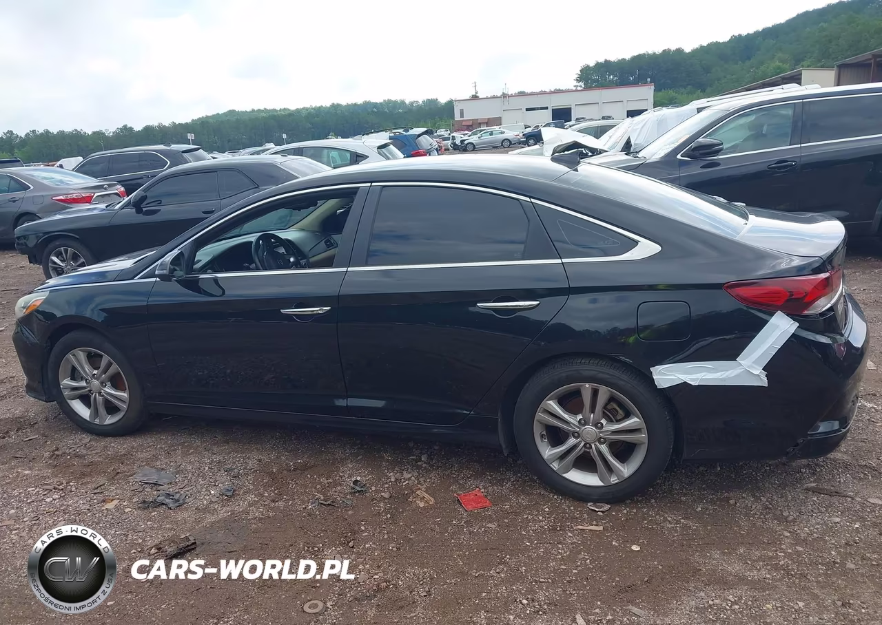 2018 Hyundai Sonata Sel VIN:5NPE34AF8JH683335 - 14