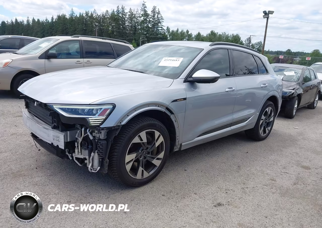 2022 Audi E-Tron Premium Quattro VIN:WA1AAAGE0NB007464 - 2