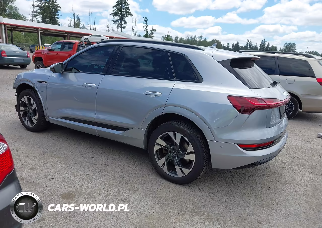 2022 Audi E-Tron Premium Quattro VIN:WA1AAAGE0NB007464 - 3