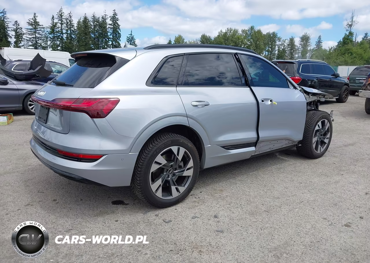 2022 Audi E-Tron Premium Quattro VIN:WA1AAAGE0NB007464 - 4