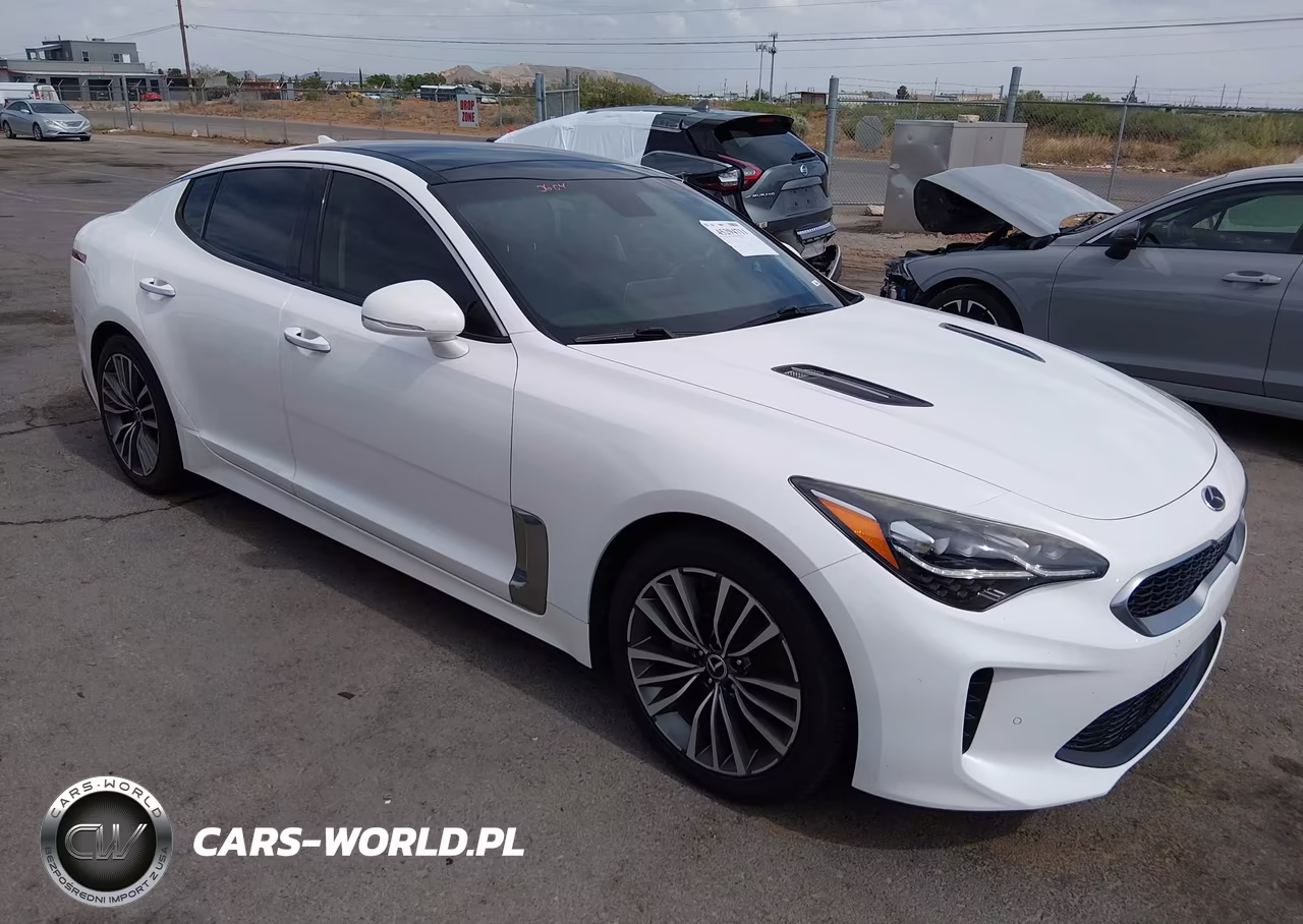 2018 Kia Stinger Premium VIN:KNAE25LA0J6034310 - 13
