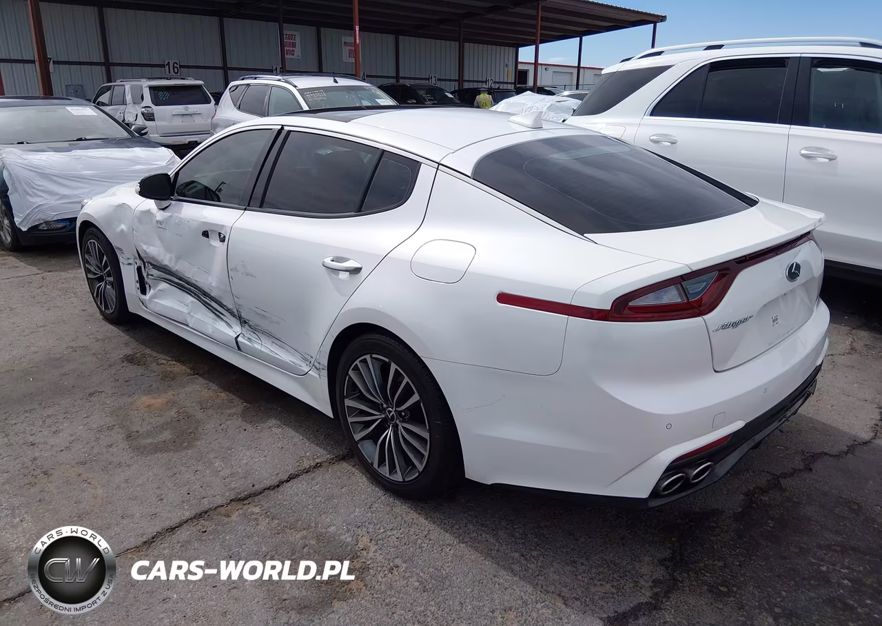 2018 Kia Stinger Premium VIN:KNAE25LA0J6034310 - 3