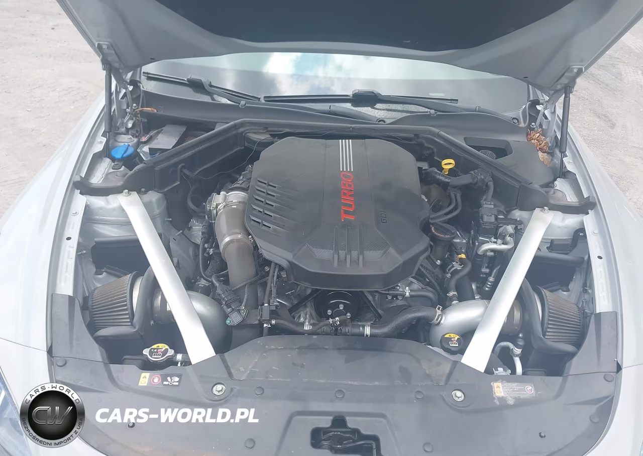 2019 Kia Stinger Gt1 VIN:KNAE45LC2K6059920 - 10