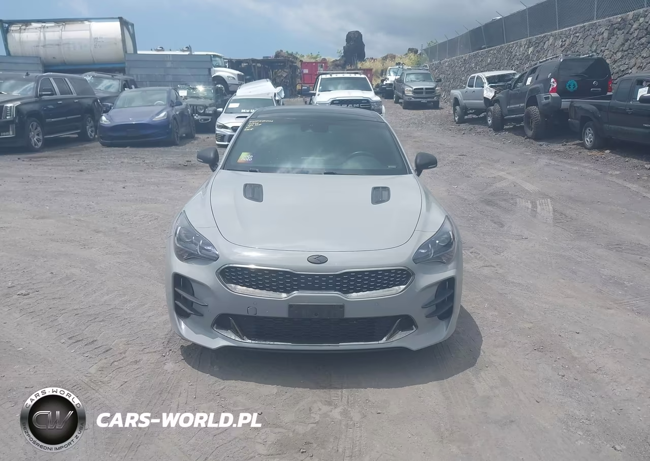 2019 Kia Stinger Gt1 VIN:KNAE45LC2K6059920 - 12
