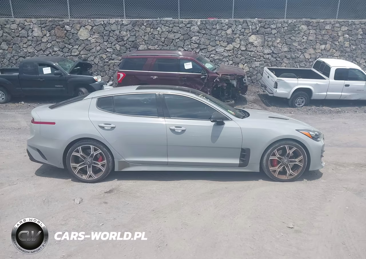 2019 Kia Stinger Gt1 VIN:KNAE45LC2K6059920 - 13