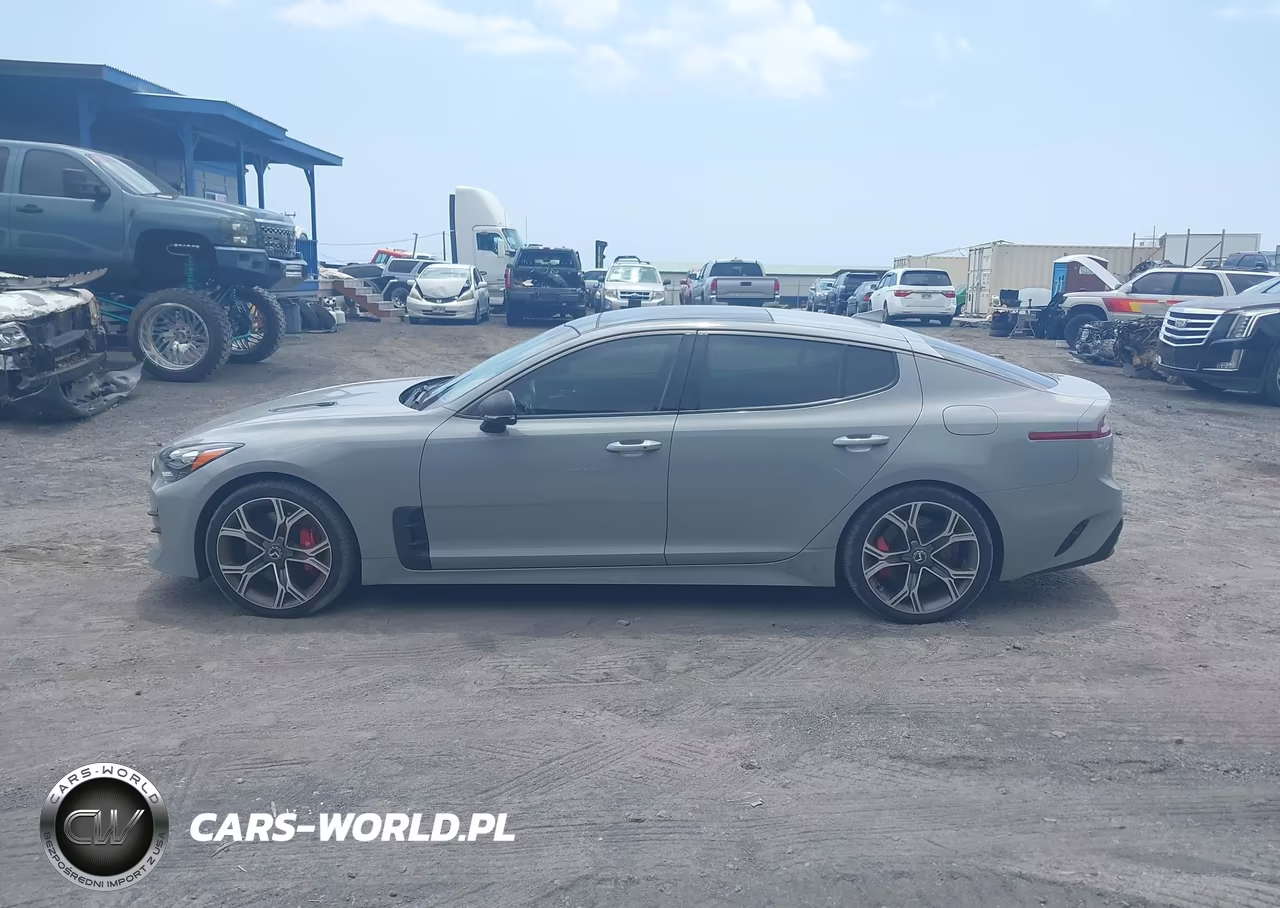 2019 Kia Stinger Gt1 VIN:KNAE45LC2K6059920 - 14