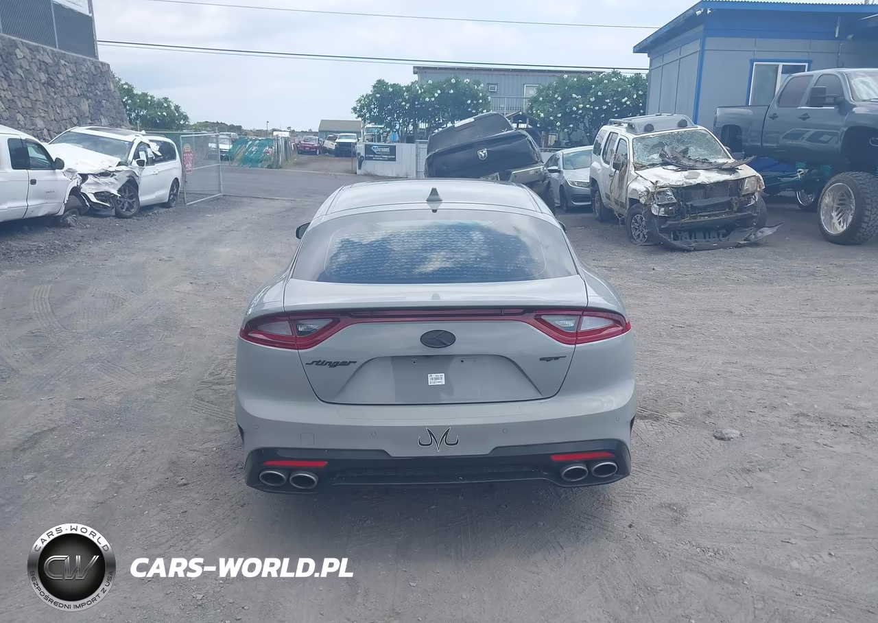 2019 Kia Stinger Gt1 VIN:KNAE45LC2K6059920 - 16