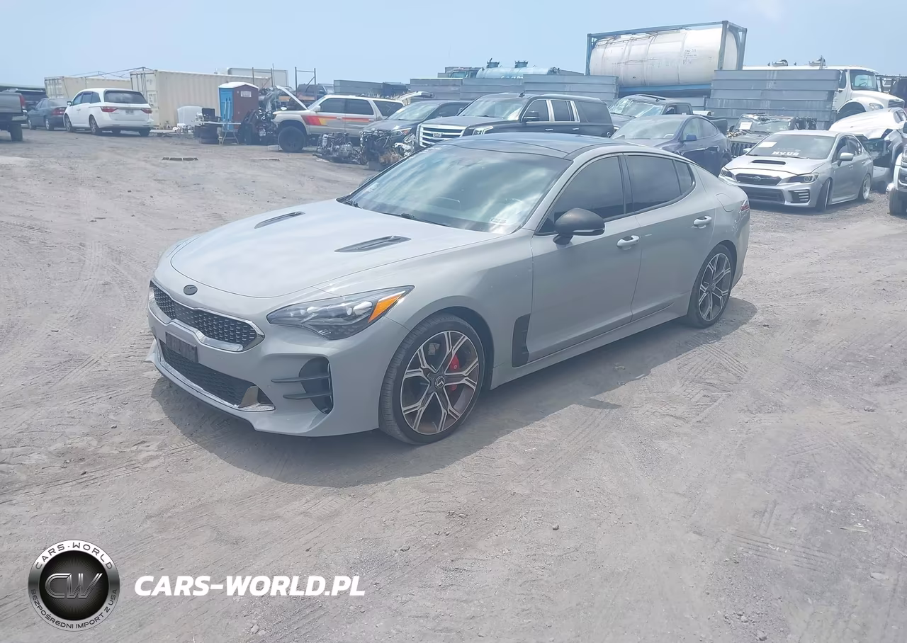 2019 Kia Stinger Gt1 VIN:KNAE45LC2K6059920 - 2