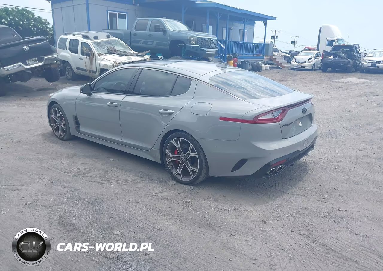 2019 Kia Stinger Gt1 VIN:KNAE45LC2K6059920 - 3