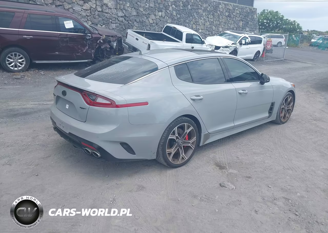 2019 Kia Stinger Gt1 VIN:KNAE45LC2K6059920 - 4