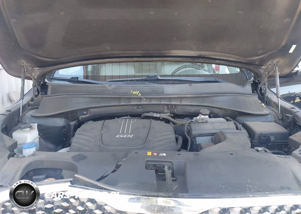 2017 Kia Sorento 3.3L Sx VIN:5XYPK4A54HG314119 - 10