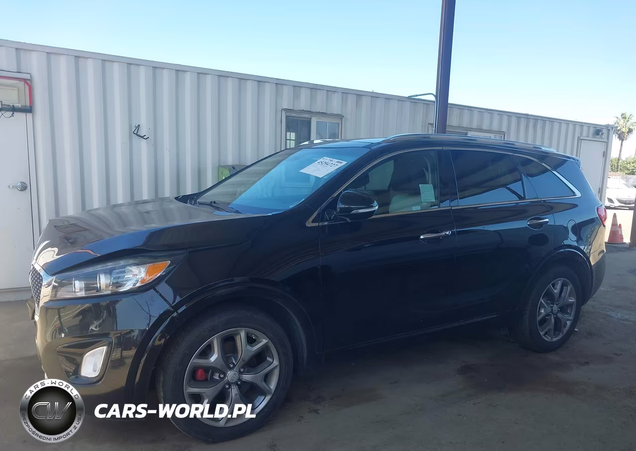 2017 Kia Sorento 3.3L Sx VIN:5XYPK4A54HG314119 - 14