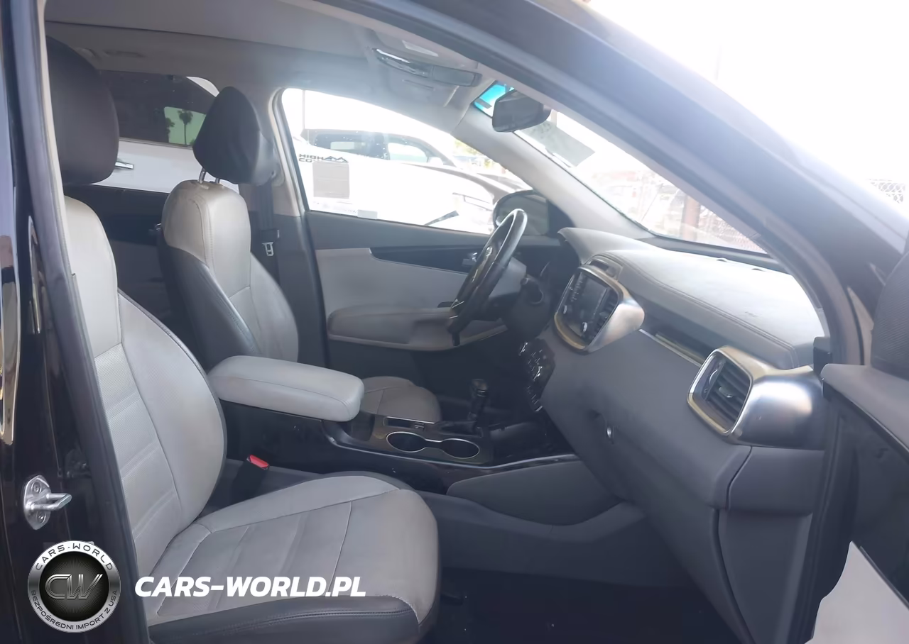 2017 Kia Sorento 3.3L Sx VIN:5XYPK4A54HG314119 - 5