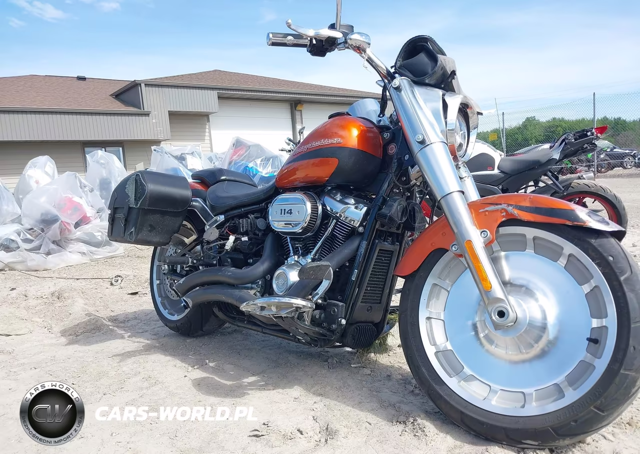 2019 Harley-Davidson Flfbs