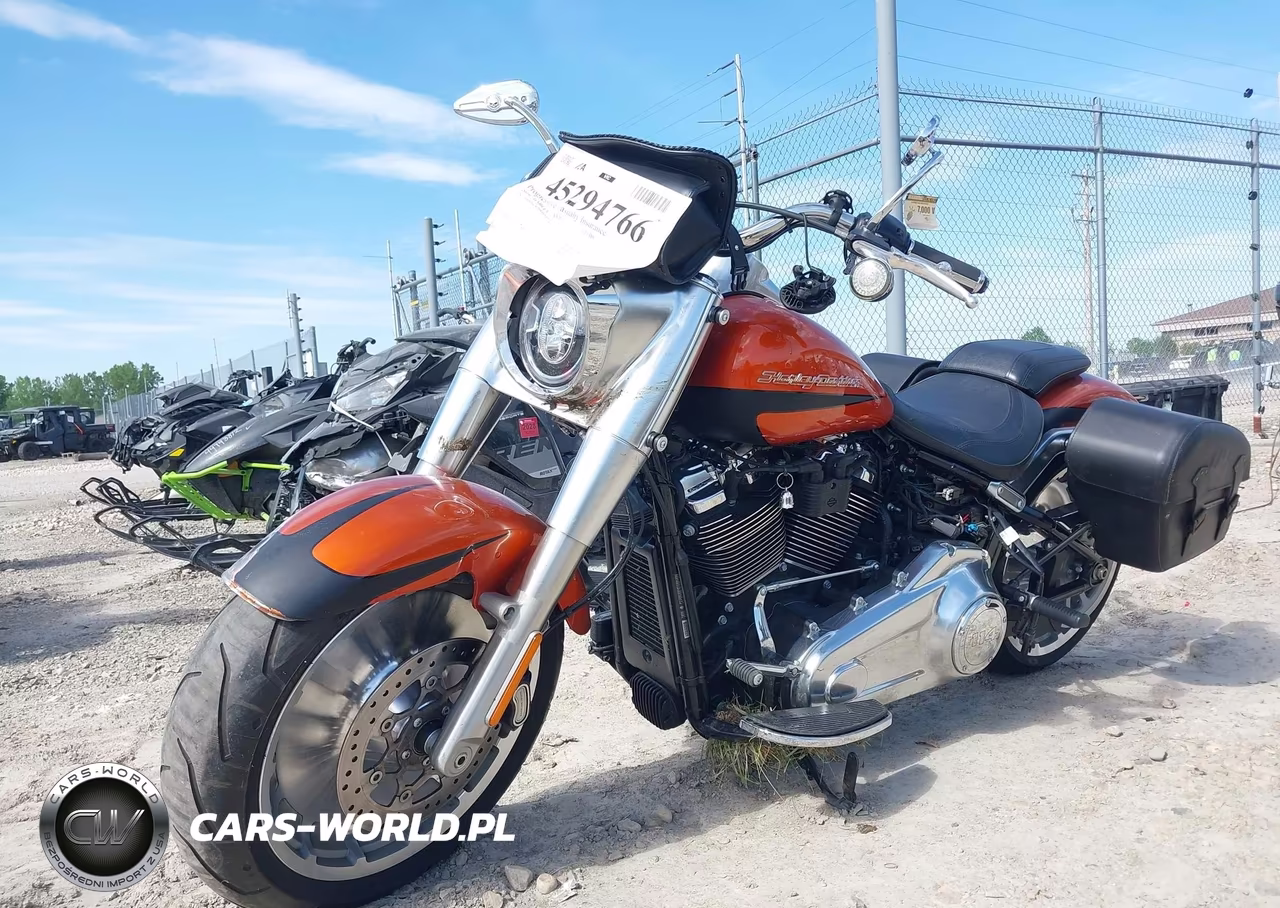 2019 Harley-Davidson Flfbs VIN:1HD1YGK24KB020651 - 2
